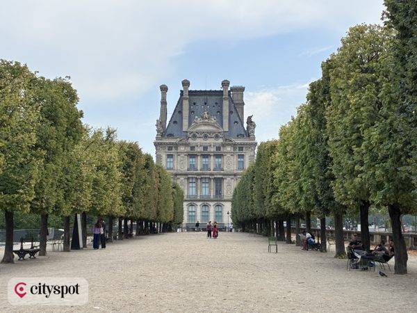 Eine von Bäumen gesäumte Allee im Jardin des Tuileries mit dem Louvre im Hintergrund